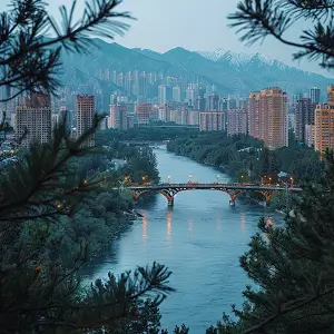 法律管不了的地方是什么