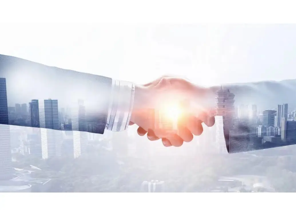 放羊违反什么法律