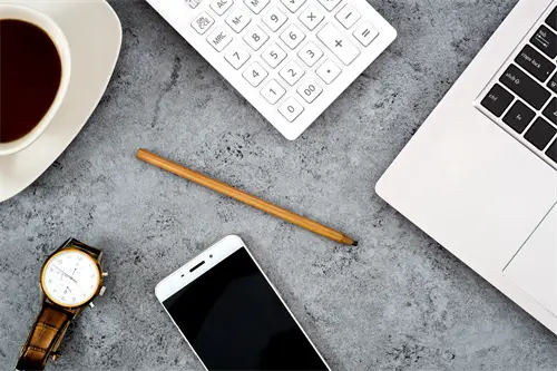 法律文化交流主体是什么